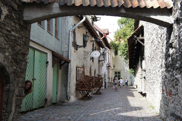 ヘルシンキからタリンへのプライベート日帰り旅行-プレミアム体験