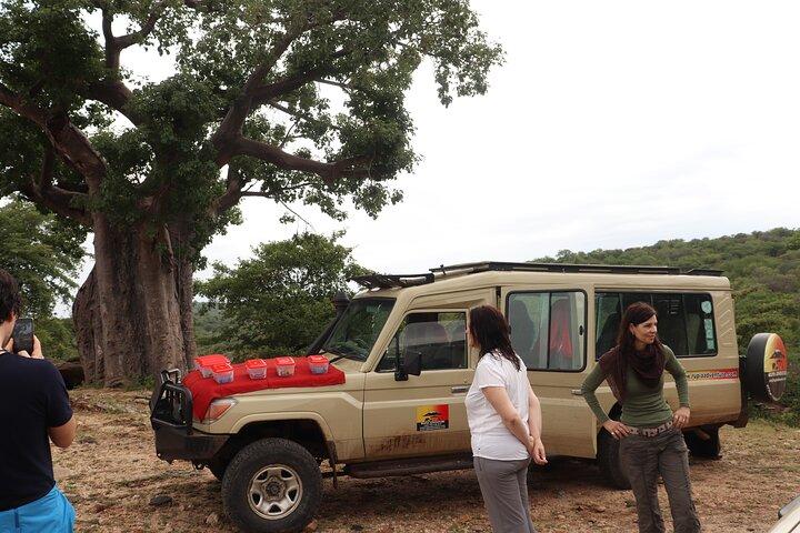 Lake Manyara National Park Day Trip