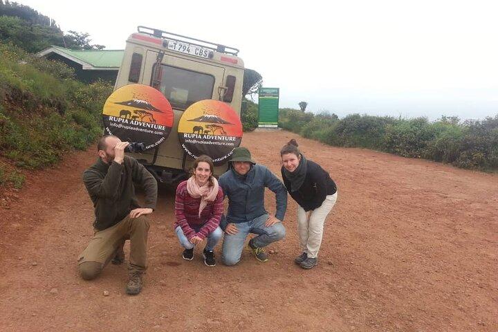 7 Tage Flitterwochen Safari Tansania