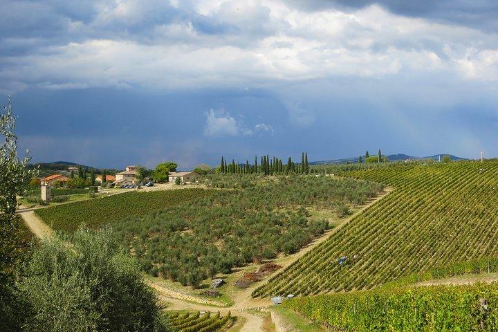 Van Florence naar Siena - San Gimignano en Pisa per privé minivan