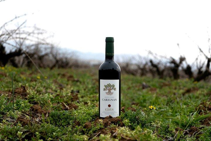 Private Bekaa Weintour | Saint Thomas, Kefraya & Ksara · Beirut