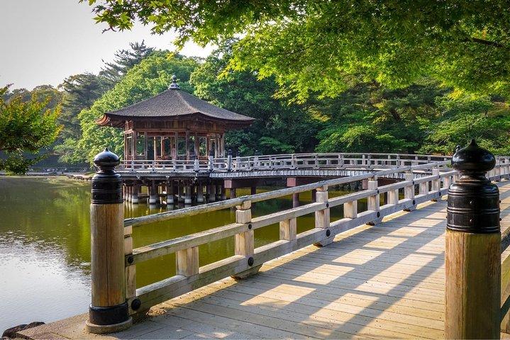 大阪から奈良への日帰り旅行 地元民と – プライベート＆パーソナライズ