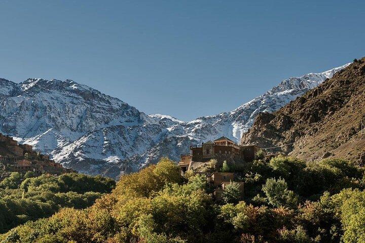 Dagtrip vanuit Marrakech naar het Atlasgebergte