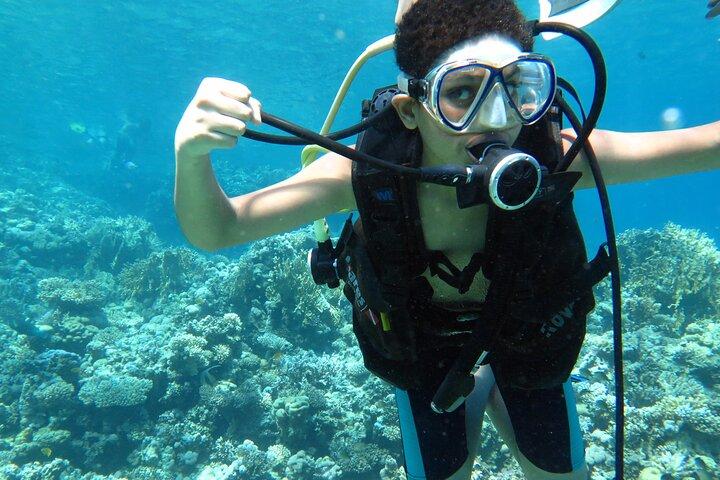 Viagem de barco para mergulho e snorkeling na Ilha Tiran Sharm El Sheikh