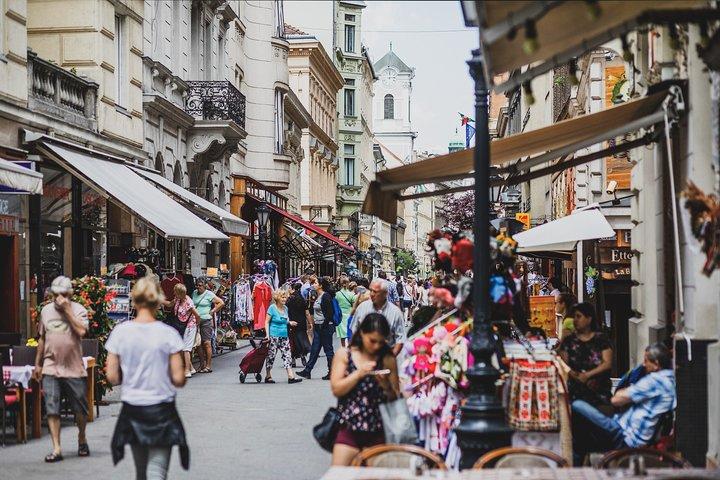 Heldagstur från Budapest till Wien med privat expertguide - inkluderar lunch