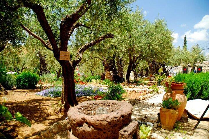 4 - Christelijke dagtour vanuit Tel Aviv : Jeruzalem, Jericho, Bethlehem en Nazareth