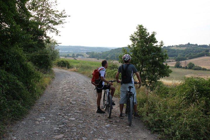 Tour de Chianti en bicicleta eléctrica para grupos pequeños con almuerzo en la granja desde Siena