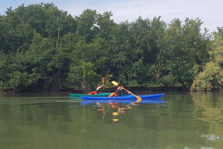 Tour Privado de Caiaque na Lagoa Venetian