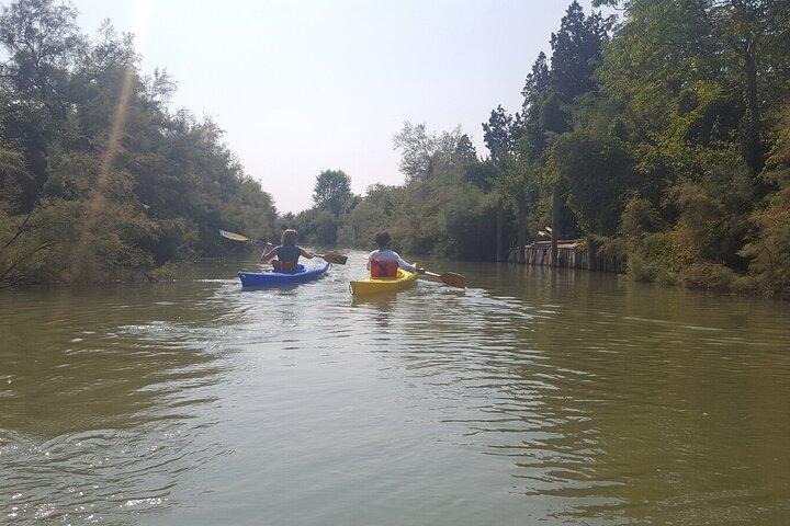 Tour Privado de Caiaque na Lagoa Venetian