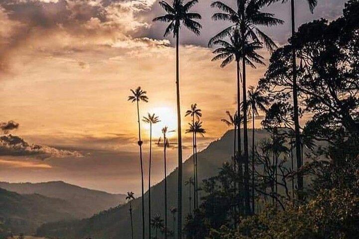 Cocora-vallei en Salento-wandeling