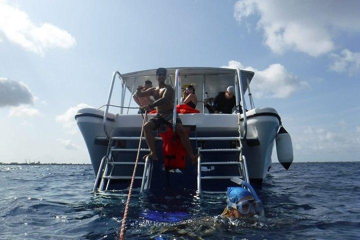 Viaje de snorkel doble inmersión