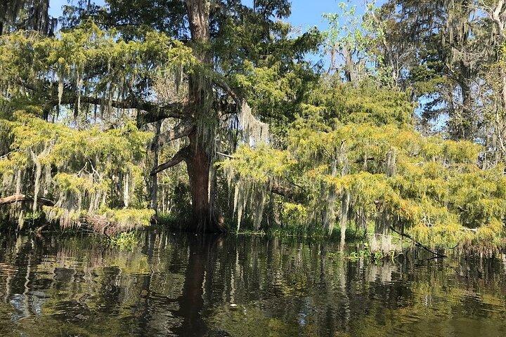 Whitney Plantation und Manchac Swamp Kajak Tour Combo