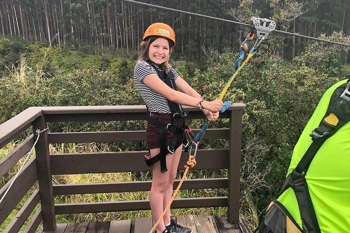 Big Island : 9 - Line Waterfall Zipline Experience