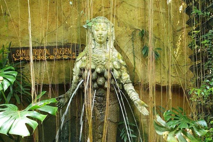 Excursion Eco Jungle Safari autour de Koh Samui avec déjeuner