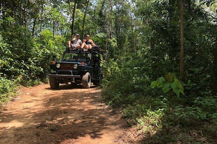 Tour de safari por la jungla ecológica alrededor de Koh Samui