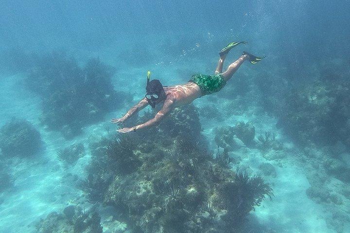 Icacos Deserted Island Catamaran, Snorkel, and Picnic Cruise