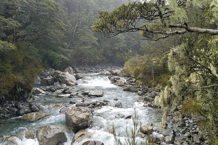 Arthur's Pass Discovery and TranzAlpine Train - Small Group Tour