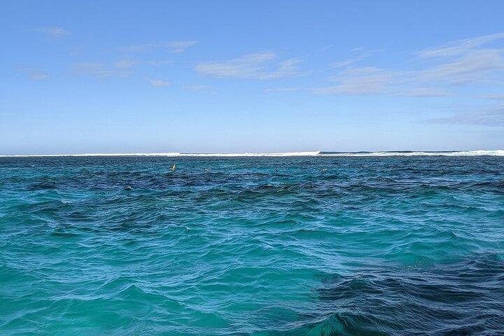 Marine Eco Safari - Schwimmen Sie mit Mantarochen