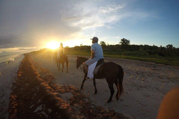 Horseback "SPECIAL"- Negril's Beach Ride N' Swim med gratis billeder/videoer