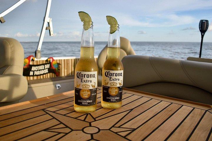 フォートマイヤーズビーチ周辺のドルフィンティキクルーズ