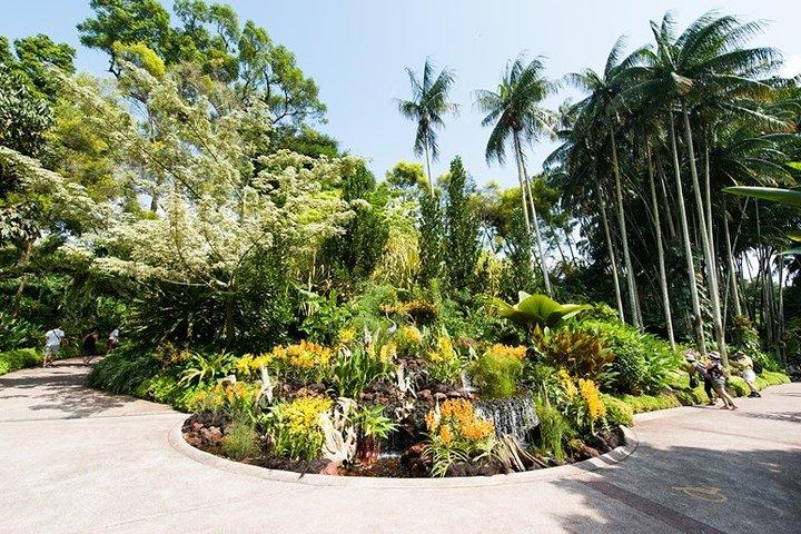 Singapore: National Orchid Garden Entrébiljett
