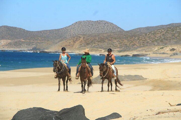 Cabo San Lucas og det sydlige Baja California: ALT på 6 dage, 1. klasses brugerdefinerede ture