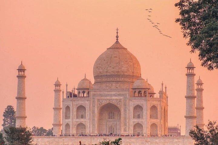 Tour privado de dia inteiro do Taj Mahal e do Forte de Agra a partir de Jaipur