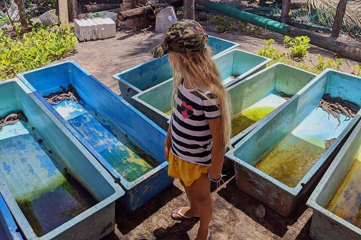 4-in-1 Tour - Mazunte,Cacao Factory, La Ventanilla & Turtle Spawn
