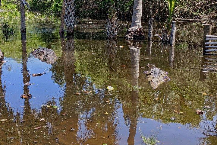 4-in-1 Tour - Mazunte,Cacao Factory, La Ventanilla & Turtle Spawn