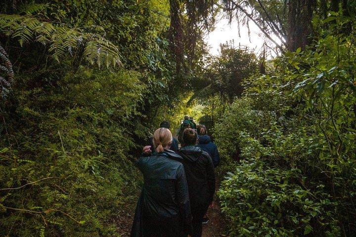Zeelandia - Twilight Guided Eco Wildlife Tour