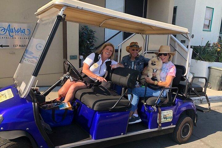Visite guidée privée de l'île Catalina panier de golf d'Avalon
