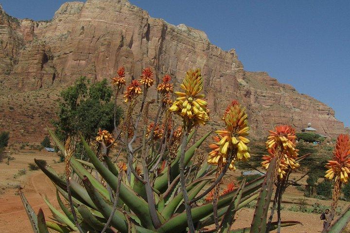 Trekking In SIMIEN MOUNTAINS 4Days 3Night