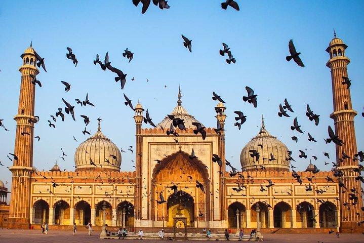 Esplora Qutub Minar e il parco archeologico Mehrauli con un narratore locale