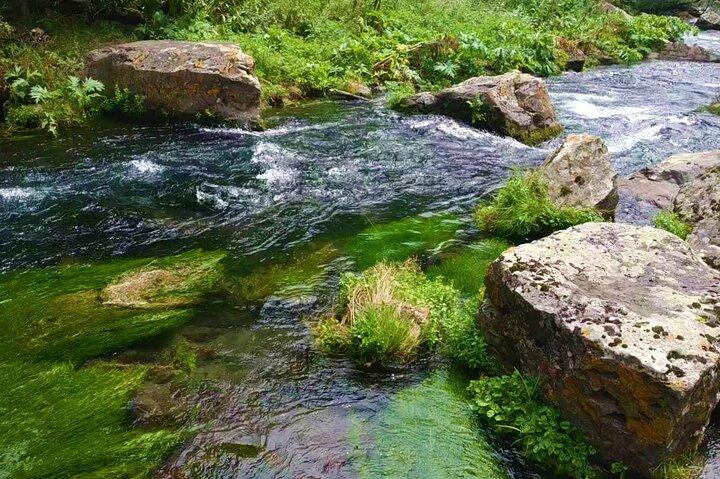 Tour del canyon di Tsalka da Tbilisi con il monastero di Poka, Gorelovka e Asureti