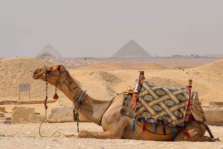 Solopgang eller solnedgang Hestevogn Ride på Pyramids Desert