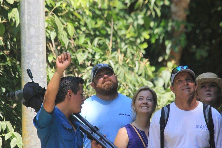 Visite guidée du parc national Manuel Antonio