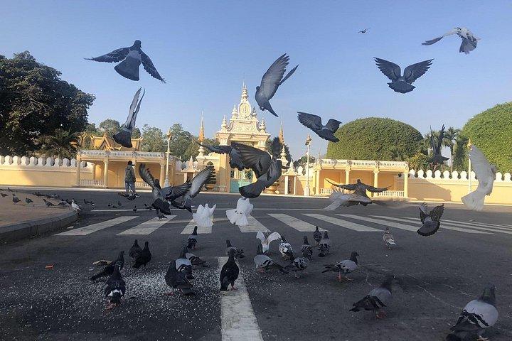 プノンペンバイタルディスカバリー - 1日ツアー（すべてのサービスを含む）