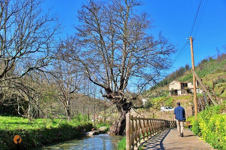 カスケードと片岩の村、ピオダンの間のツアー