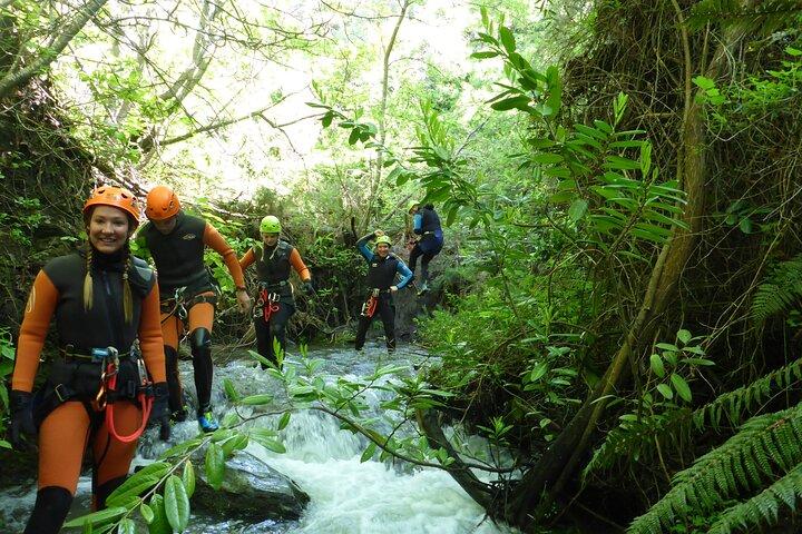 Canyoning di mezza giornata nella Gibbston Valley da Queenstown