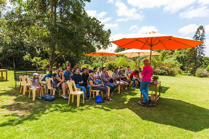 Nairobi dagstur till Tea Farm