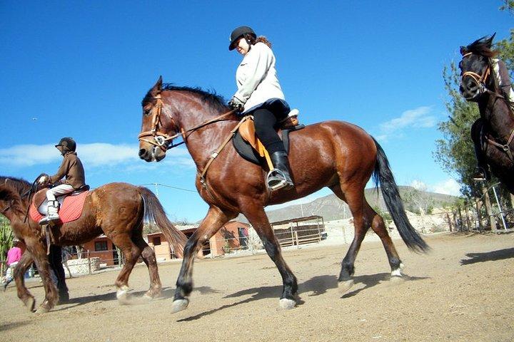 Reiten auf Fuerteventura für 1 oder 2 Stunden, Spanien