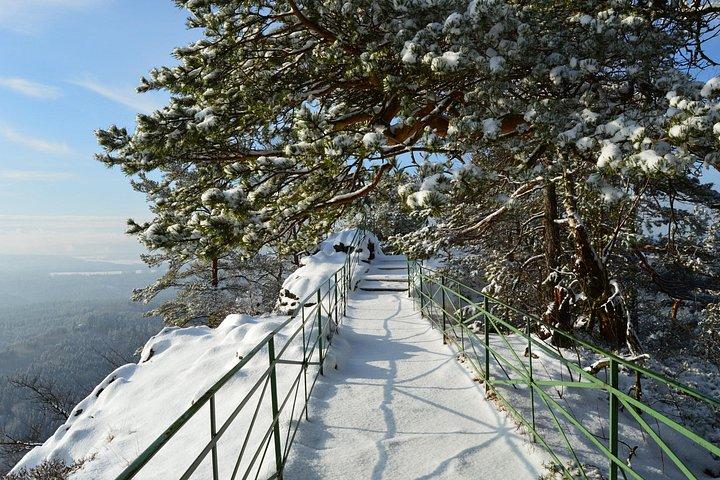 プラヴチッカ ゲートとバスタイ橋プラハからの冬の国立公園ツアー