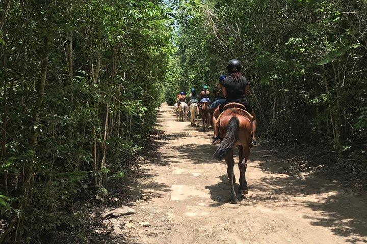 Reiten plus ATV, Cenote, Ziplines und Mittagessen