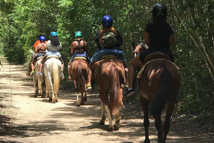 ATV コンボ乗馬、ATV、ジップライン、セノーテ、ランチ