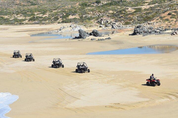 Combo Double Utv + Horses