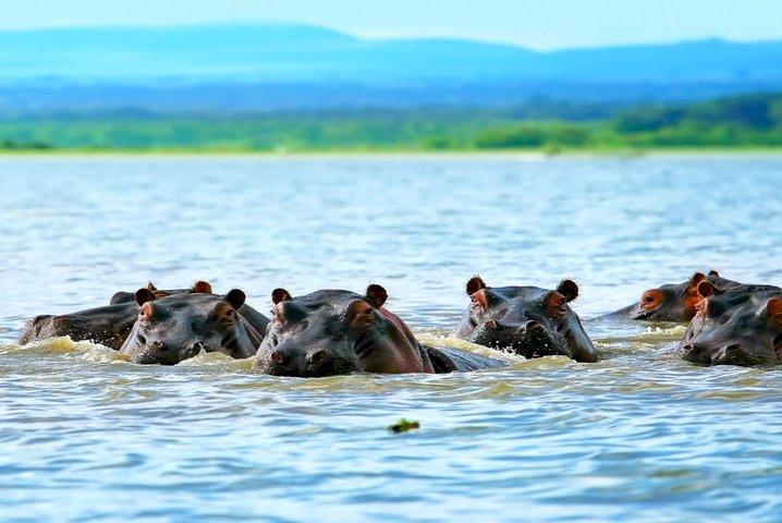 Safari de 5 jours à Maasai Mara, au lac Nakuru et au parc national de Hell's Gate