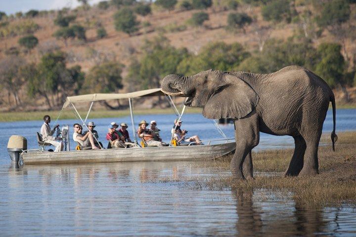 Excursión de un día a Chobe, Botsuana Ex Victoria Falls o Livingstone
