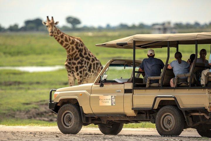 Excursión de un día a Chobe, Botsuana Ex Victoria Falls o Livingstone