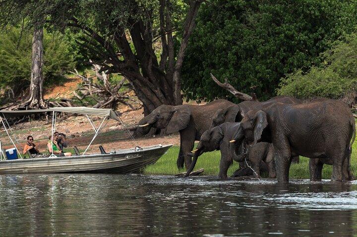 Excursión de un día a Chobe, Botsuana Ex Victoria Falls o Livingstone