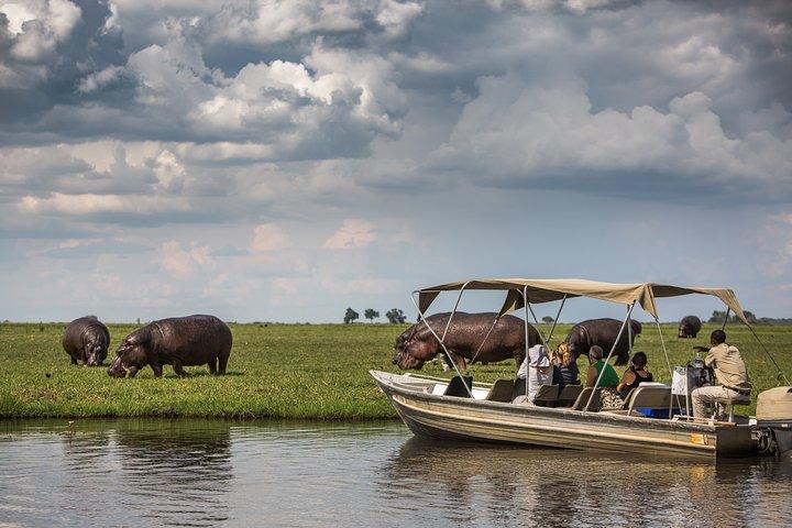 Excursión de un día a Chobe, Botsuana Ex Victoria Falls o Livingstone